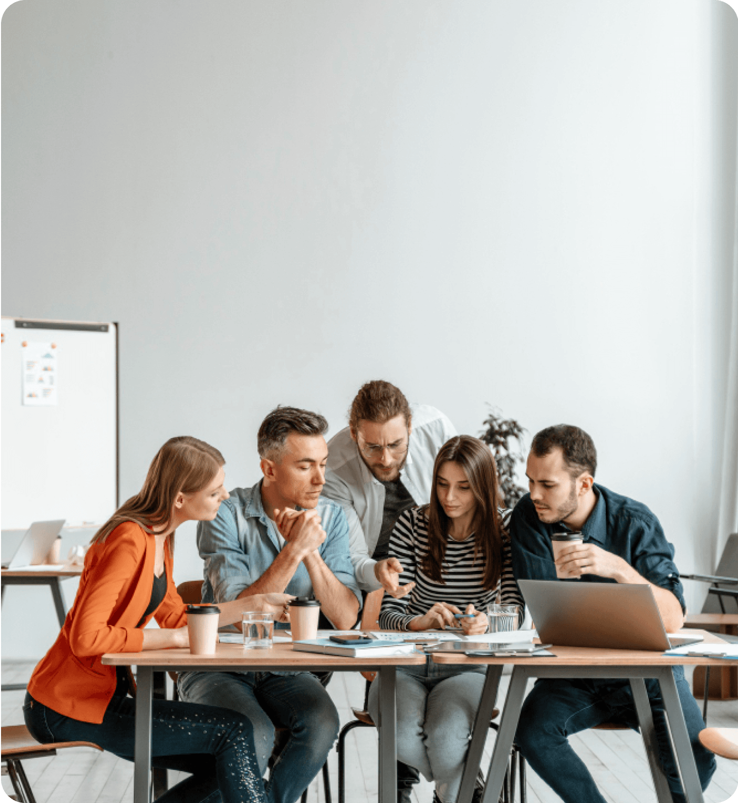 تیم تربت کار